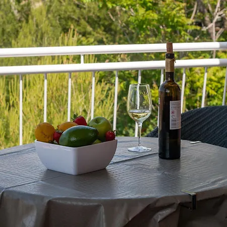 Panoramic View Apartament Palit