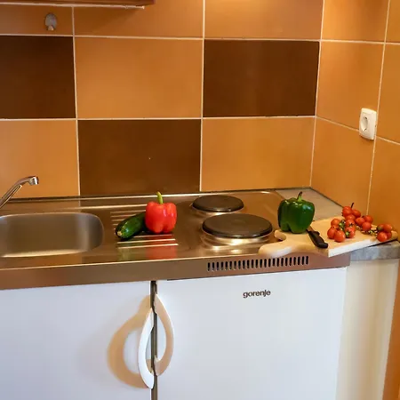 Apartament Panoramic View *