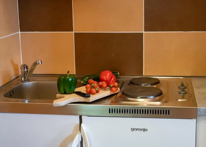 Panoramic View Appartamento *